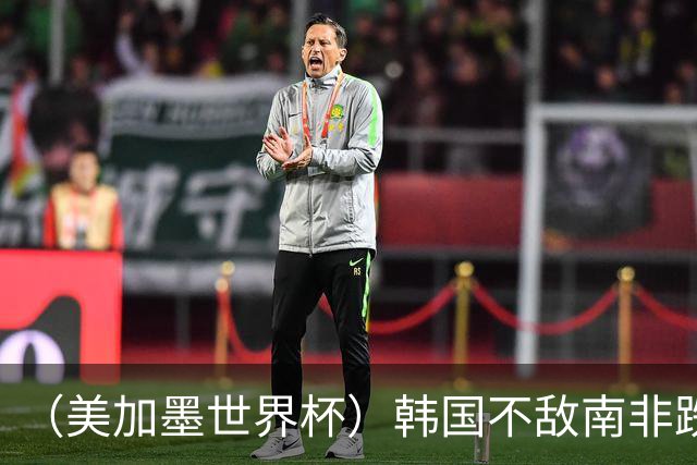 （美加墨世界杯）韩国不敌南非跌至小组第三 出线前景待定